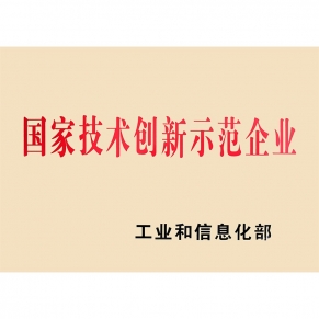 國家技術(shù)創(chuàng)新示范企業(yè)